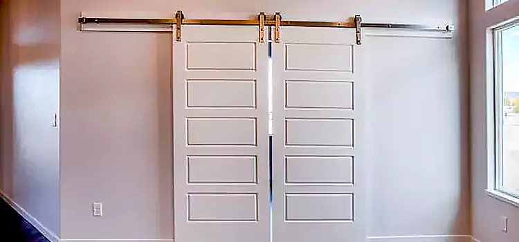 Glass Barn Door with Installation Hardware Kit Waterdown